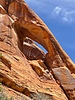 photo thumbnail #9
