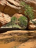 photo thumbnail #15