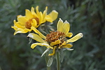 photo thumbnail #15