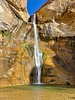 Featured Full Photo