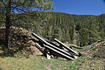 photo thumbnail #4