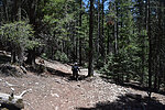 photo thumbnail #7