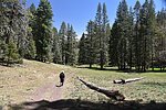 photo thumbnail #8