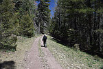 photo thumbnail #13