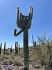 photo thumbnail #9