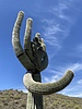 photo thumbnail #13
