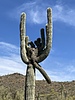 photo thumbnail #14
