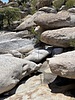 photo thumbnail #14
