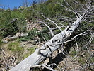 photo thumbnail #4