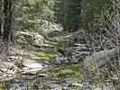 photo thumbnail #13