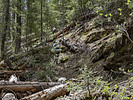 photo thumbnail #15