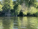 photo thumbnail #5