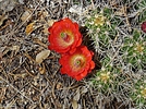 photo thumbnail #7