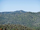 2022-05-12 :2: Salida Gulch Trail #95 :: LosDosSloFolks