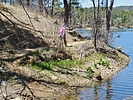 photo thumbnail #5