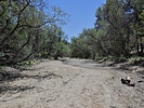 photo thumbnail #6