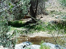 photo thumbnail #9