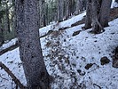 photo thumbnail #1