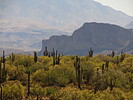 photo thumbnail #10