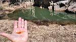 photo thumbnail #3