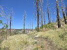 photo thumbnail #10