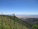 photo thumbnail #15