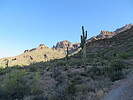 photo thumbnail #8