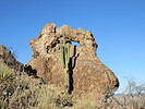 photo thumbnail #5