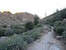 photo thumbnail #8