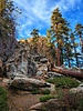 photo thumbnail #7