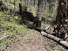 photo thumbnail #5