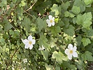 photo thumbnail #11
