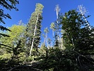 photo thumbnail #9