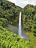 Featured Full Photo