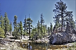 photo thumbnail #13