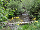 photo thumbnail #8