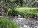 photo thumbnail #10