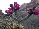 photo thumbnail #12