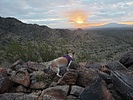 photo thumbnail #3
