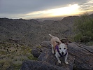photo thumbnail #13