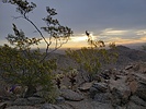 photo thumbnail #14