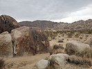 photo thumbnail #1