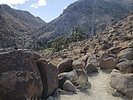 photo thumbnail #7