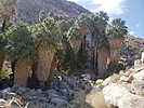 photo thumbnail #8