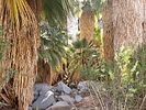 photo thumbnail #10