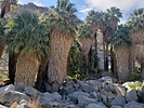 photo thumbnail #11