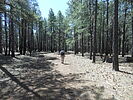 photo thumbnail #4