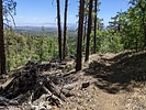 photo thumbnail #8