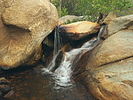 photo thumbnail #12
