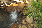 photo thumbnail #13
